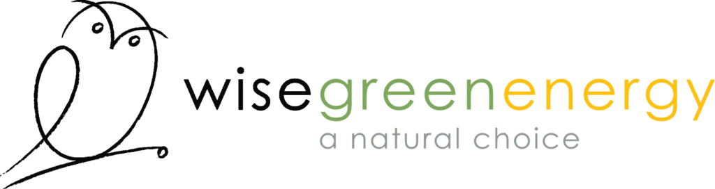 wise green log with black owl